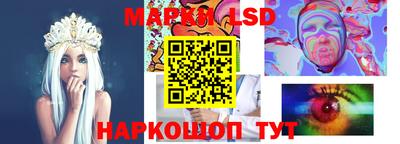 стафф Можга