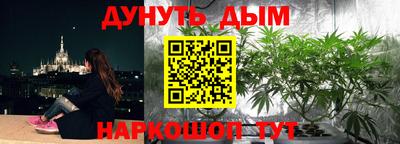 стафф Можга