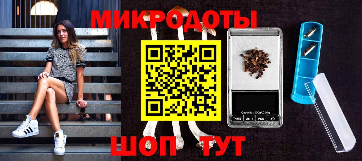 Будённовск  Псилоцибиновые грибы Magic Shrooms  купить   Вход с VPN  Галлюциногенные грибы GOLDEN TEACHER 